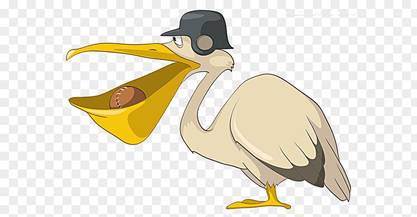 Mouth Cartoon Duck Material Pelican Bird Illustration PNG