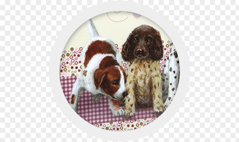 Puppy English Springer Spaniel Boykin Welsh Dog Breed PNG
