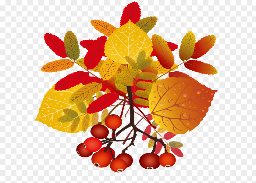 Autumn Leaves Leaf Clip Art PNG