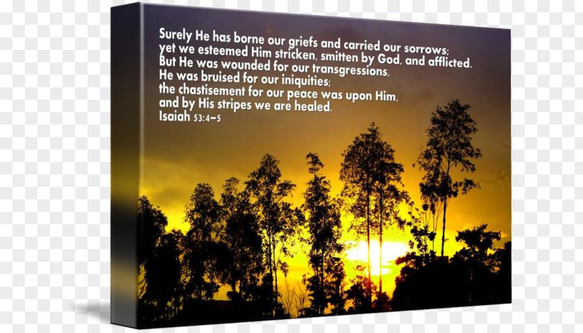 Bible Verses Nature Poster Tree Sky Plc PNG