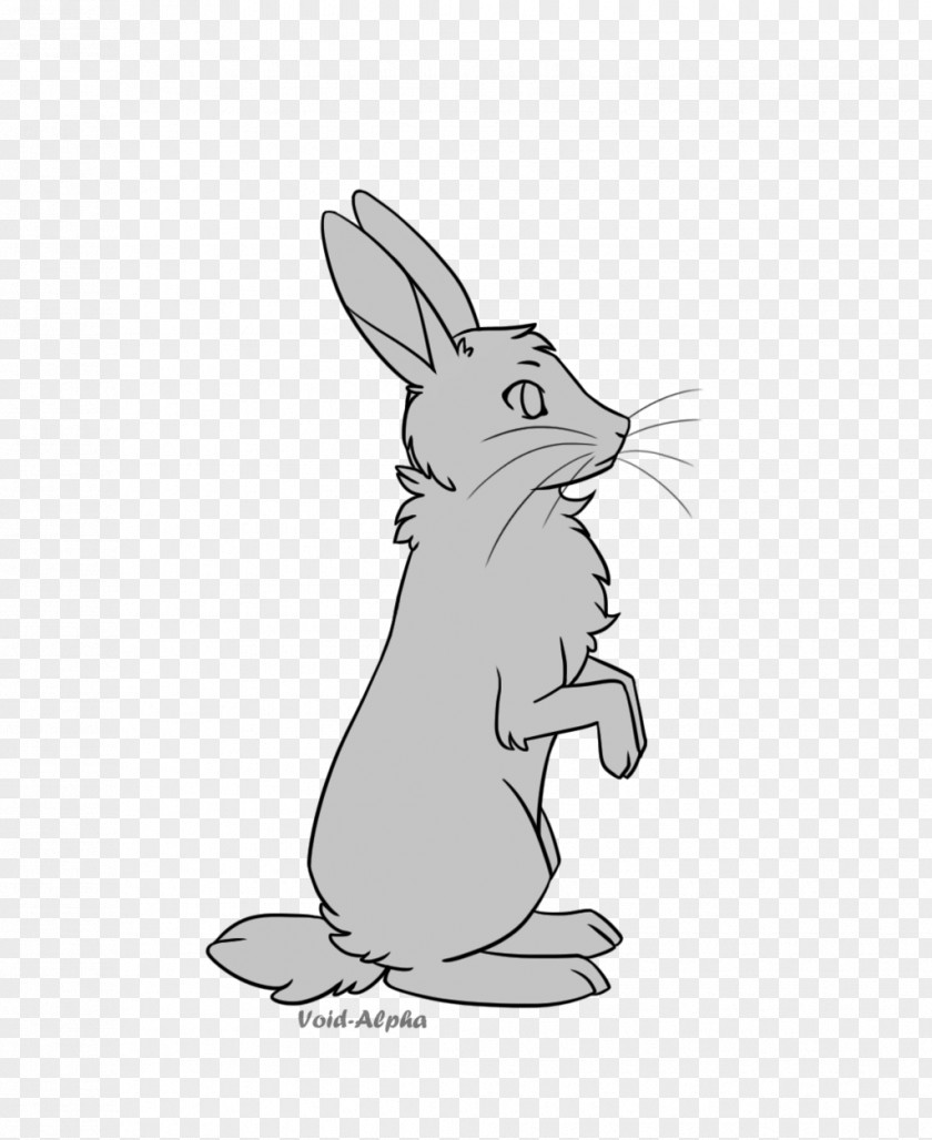 Bunny Rabbit Domestic Hare Line Art Drawing PNG