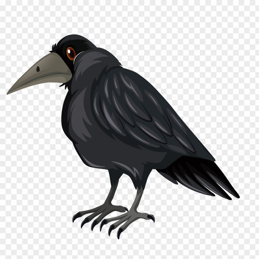 Vector Black Raven Bird Crows Crane Illustration PNG