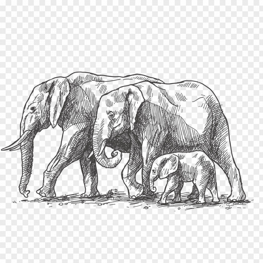 Vector Elephant Decoration African World Day Family Drawing PNG