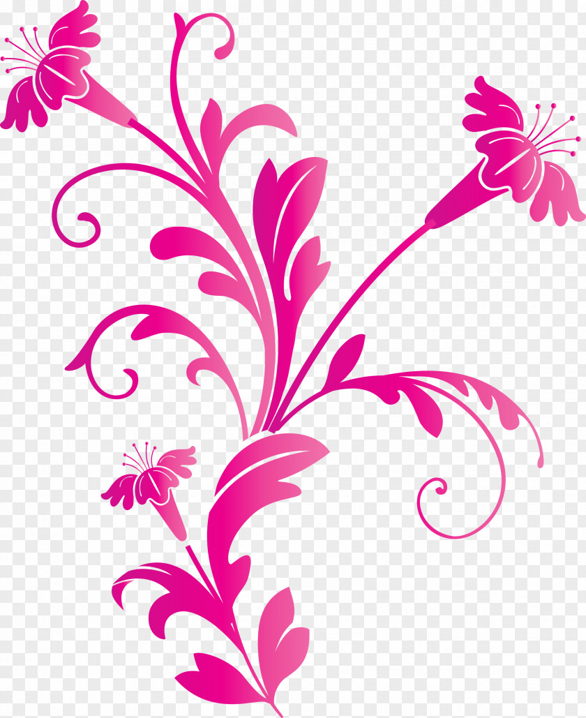 Decoration Frame Floral Flower PNG