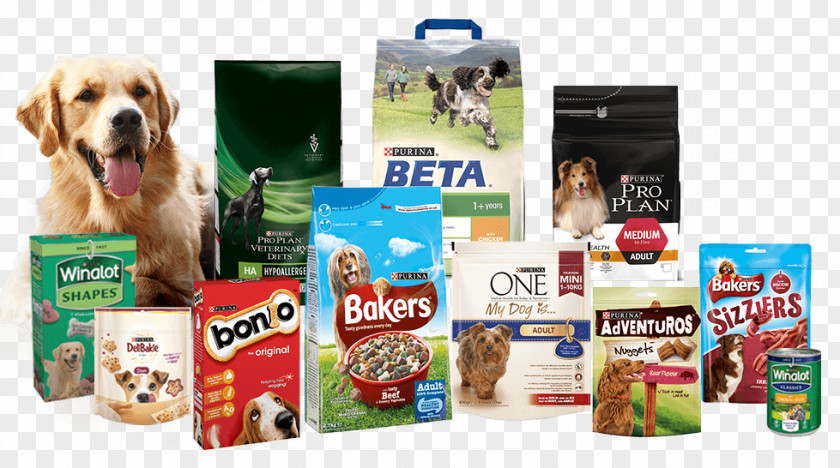Dog Food Pet PNG