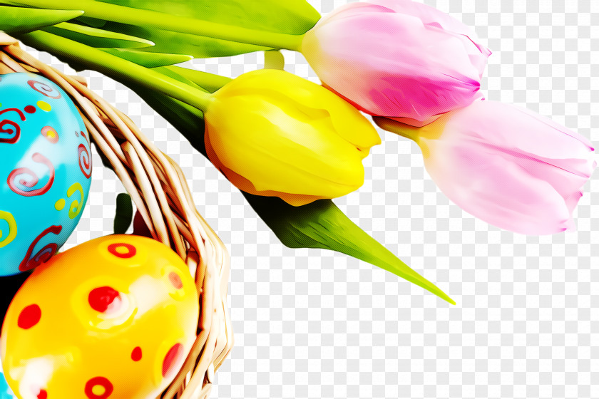 Easter Egg PNG