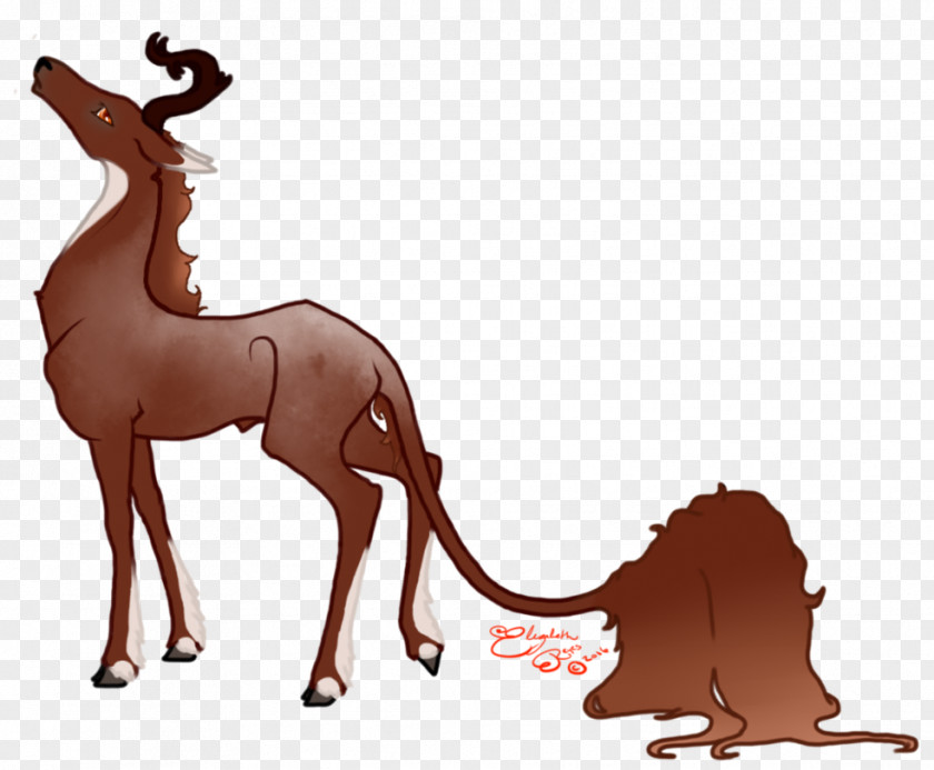 Mustang Deer Antelope Camel Pack Animal PNG