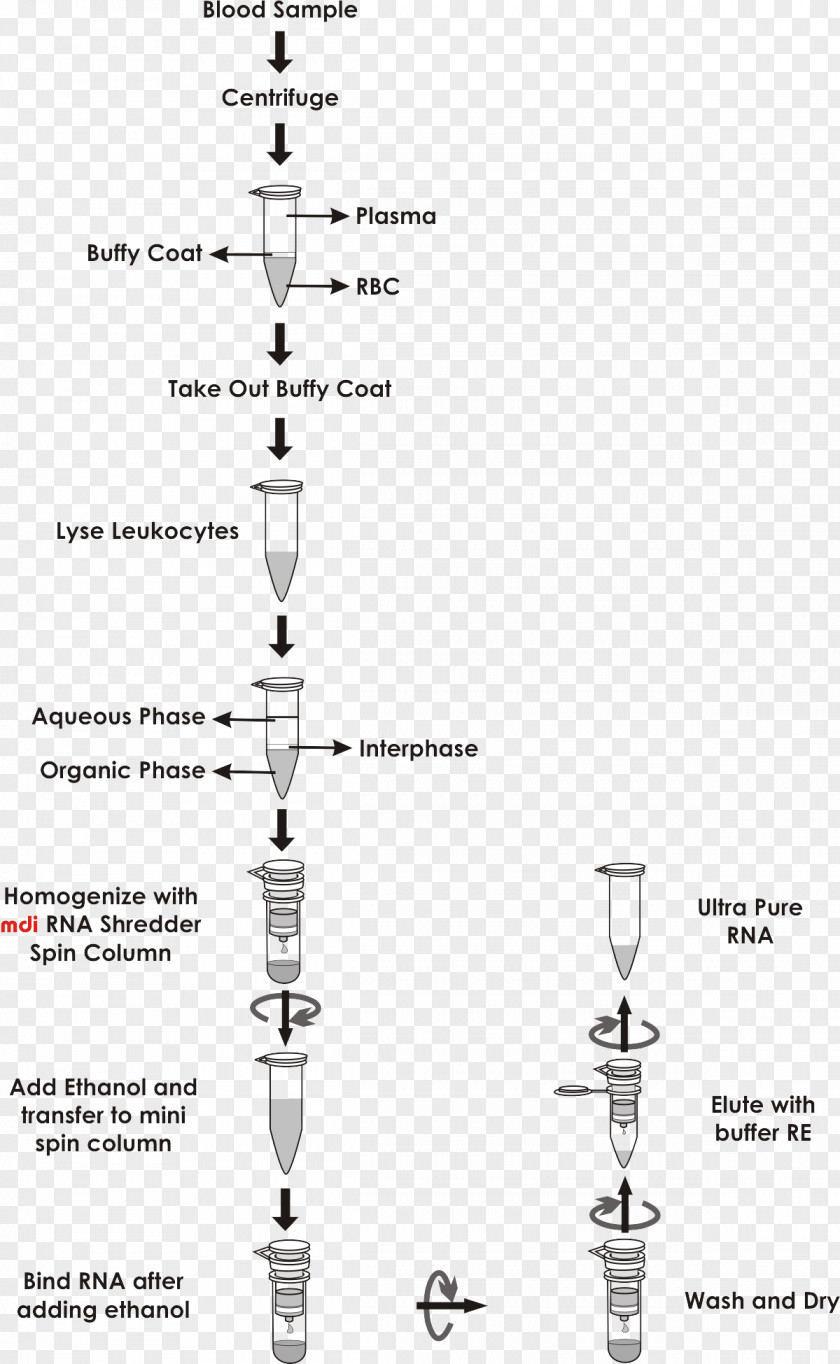 Nucleic Acid Methods Plasmid Preparation Spin Column-based Purification RNA PNG