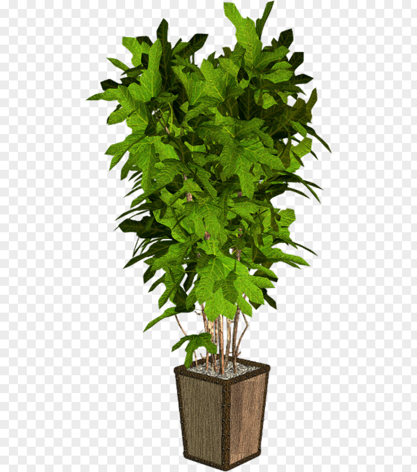 Tree Flowerpot Houseplant PNG