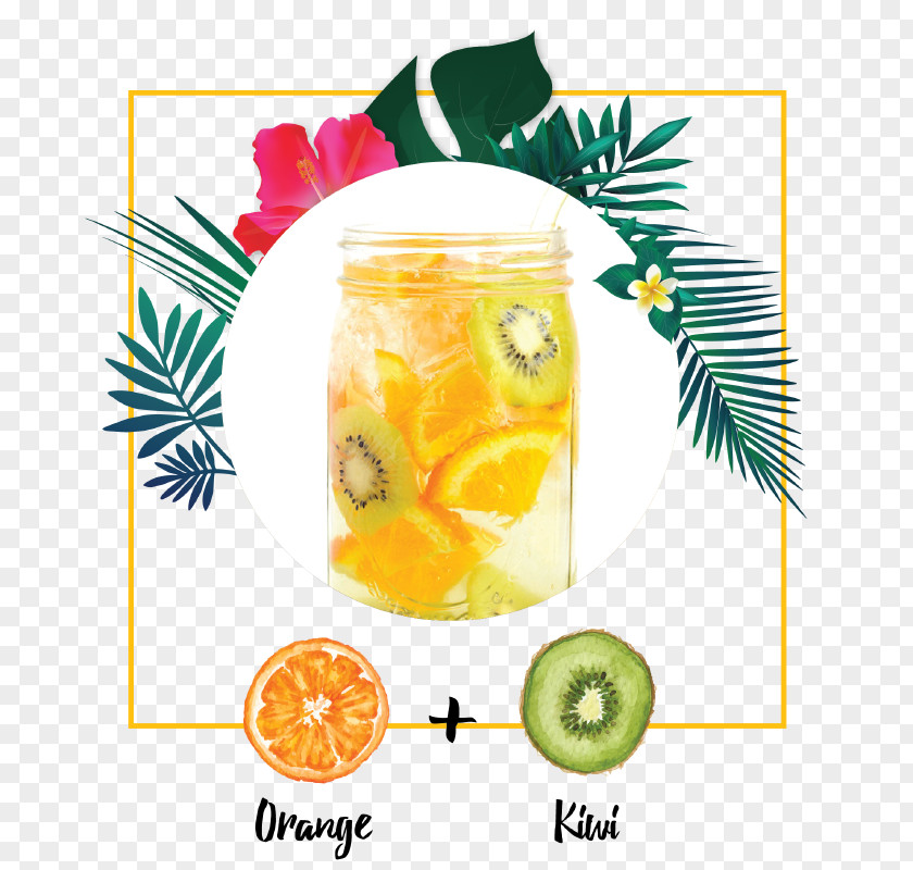 Detox Water Fruit PNG