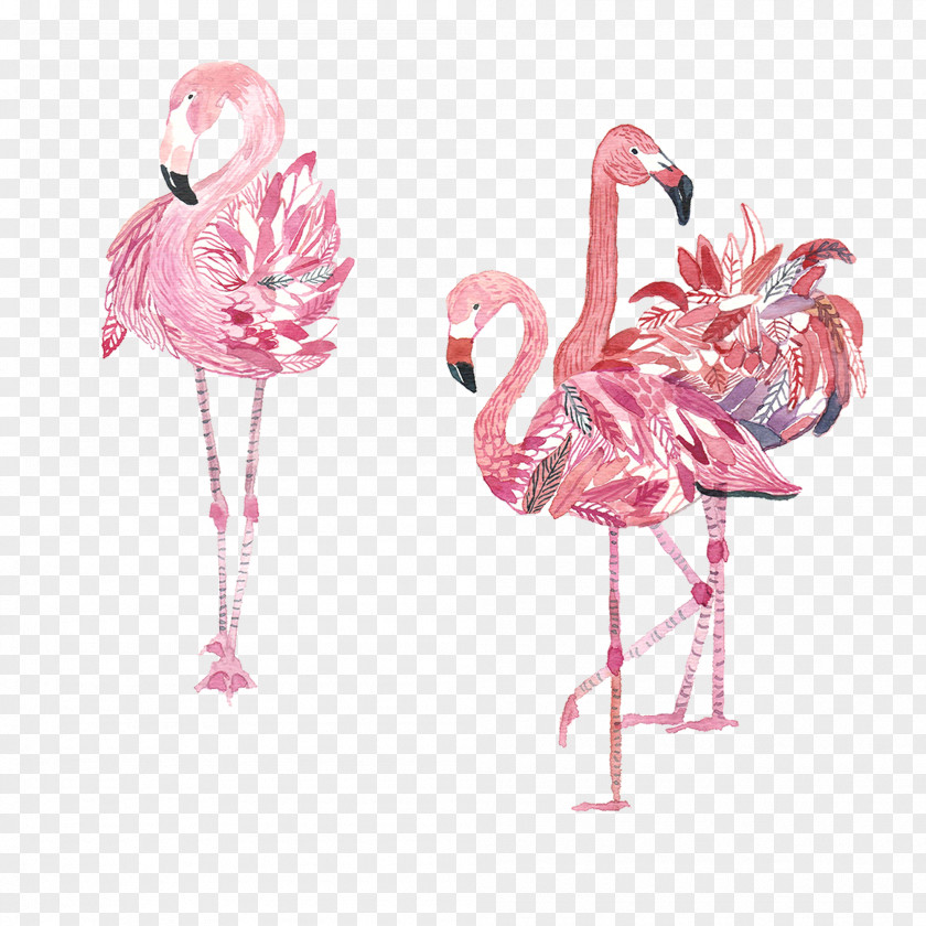 Hand-painted Three Pink Flamingos Bird Amazon.com Crane PNG