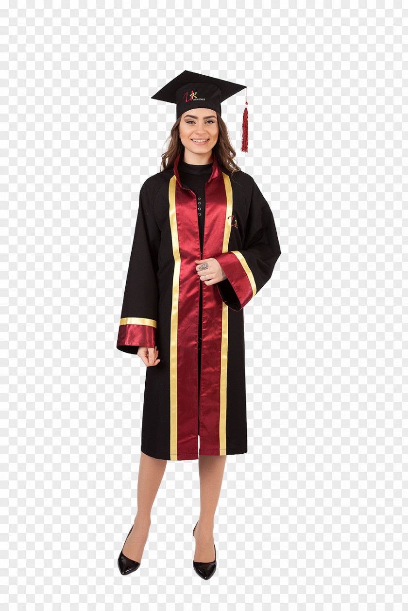 Robe Academician Graduation Ceremony Academic Dress Doctor Of Philosophy PNG