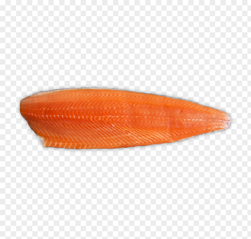 Sushi Atlantic Salmon Fillet Fish PNG