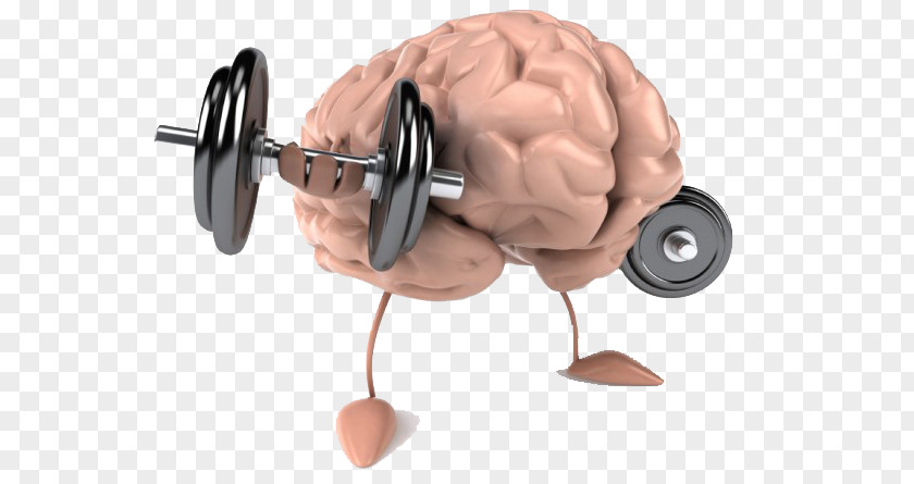 Brain Power Human Body Mental Health Healthy Diet PNG
