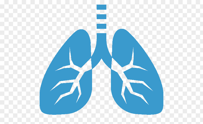 Cardiovascular Lung Pulmonary Alveolus Clip Art PNG