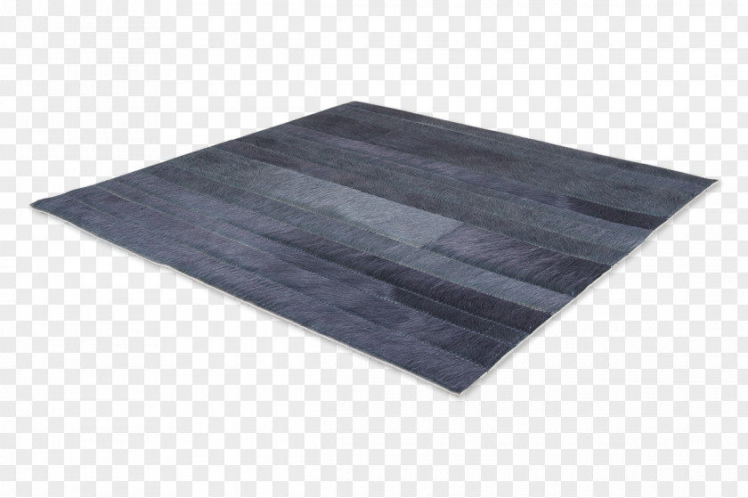 Dry Cleaning Instructions Carpet Floor Place Mats Child Polyurethane PNG