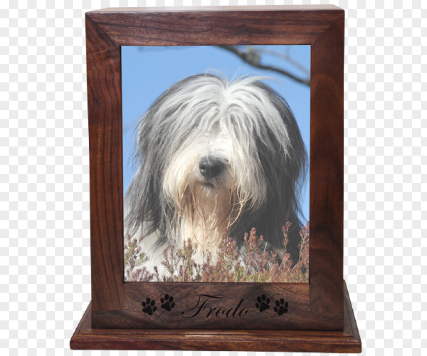 Photo-print Bearded Collie Tibetan Terrier Catalan Sheepdog Schapendoes Polish Lowland PNG