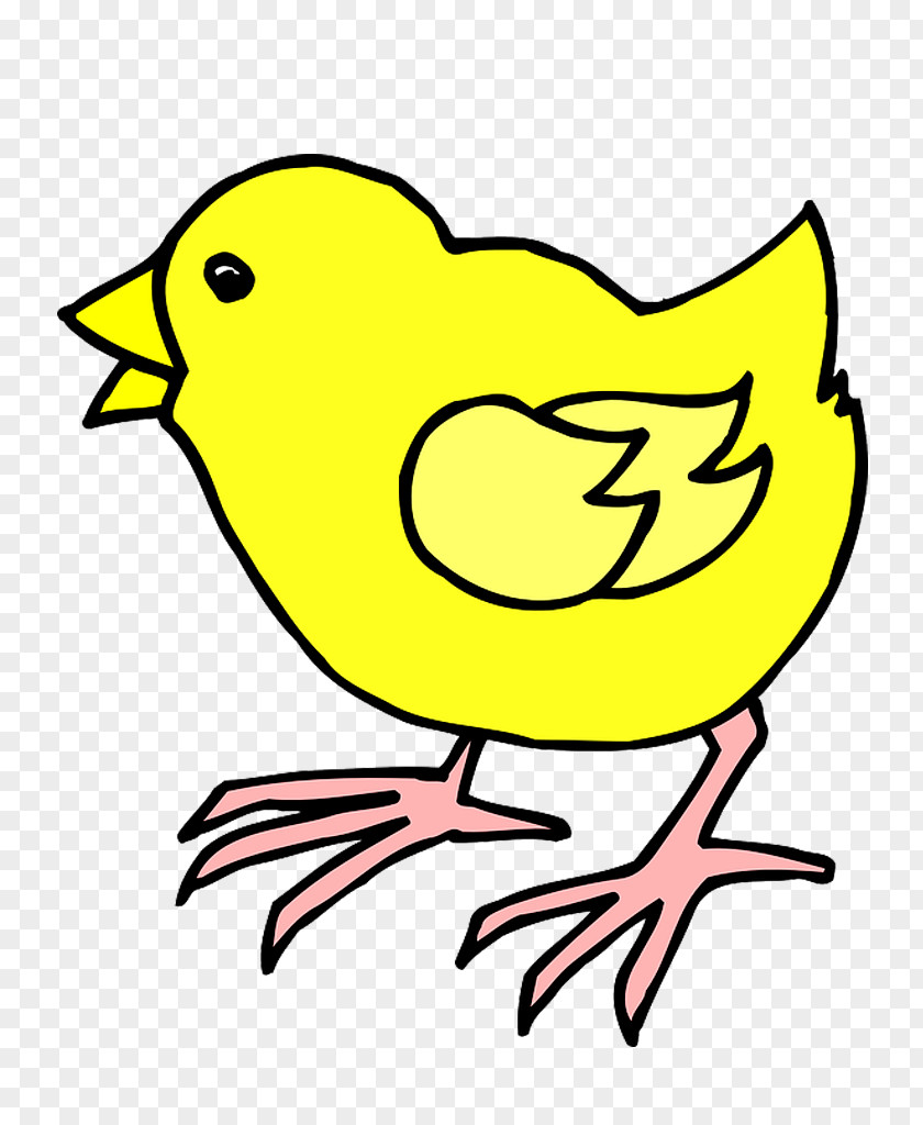 Pinto Chicken Clip Art PNG