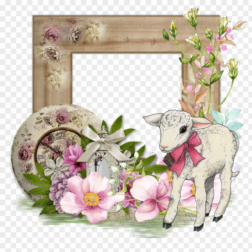 Design Floral Picture Frames PNG