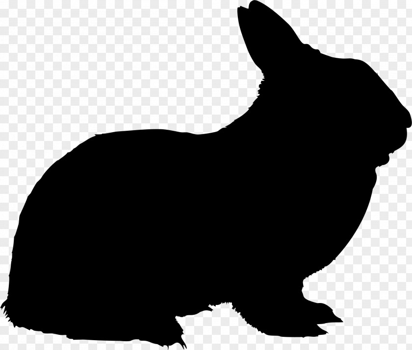 Hare Rabbit Silhouette Vector Graphics Image PNG