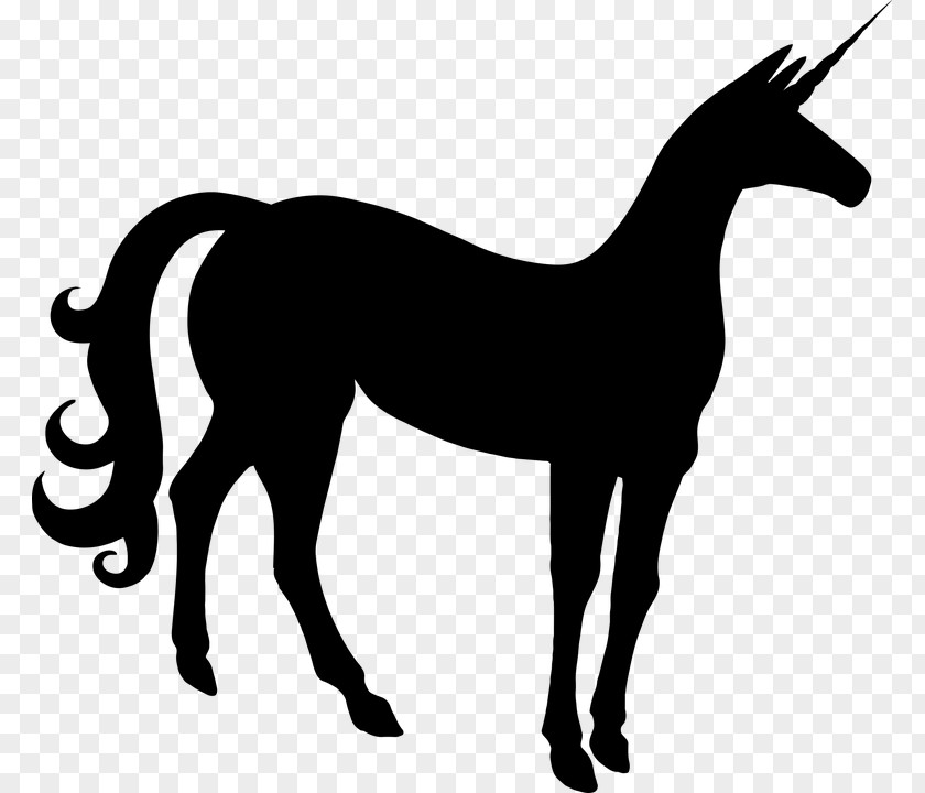 Horse Pony Mare Stallion PNG