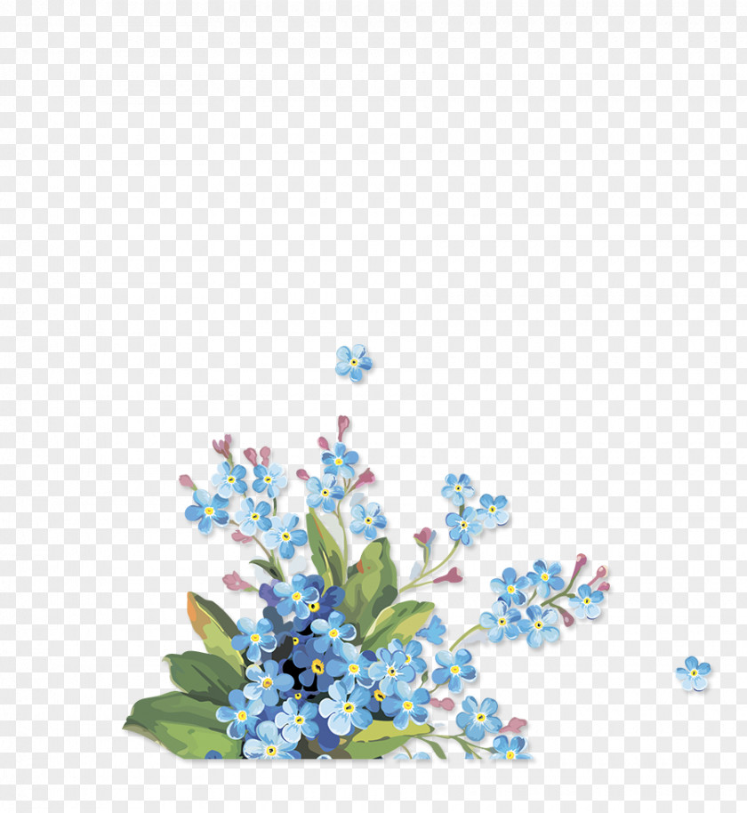 Myosotis DeviantArt Floral Design PNG