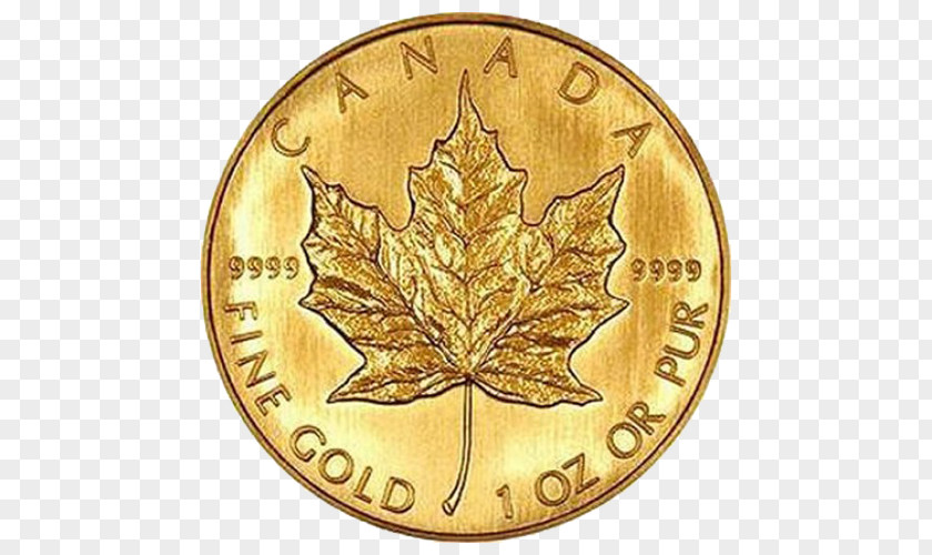 Bullion Canadian Gold Maple Leaf Coin PNG