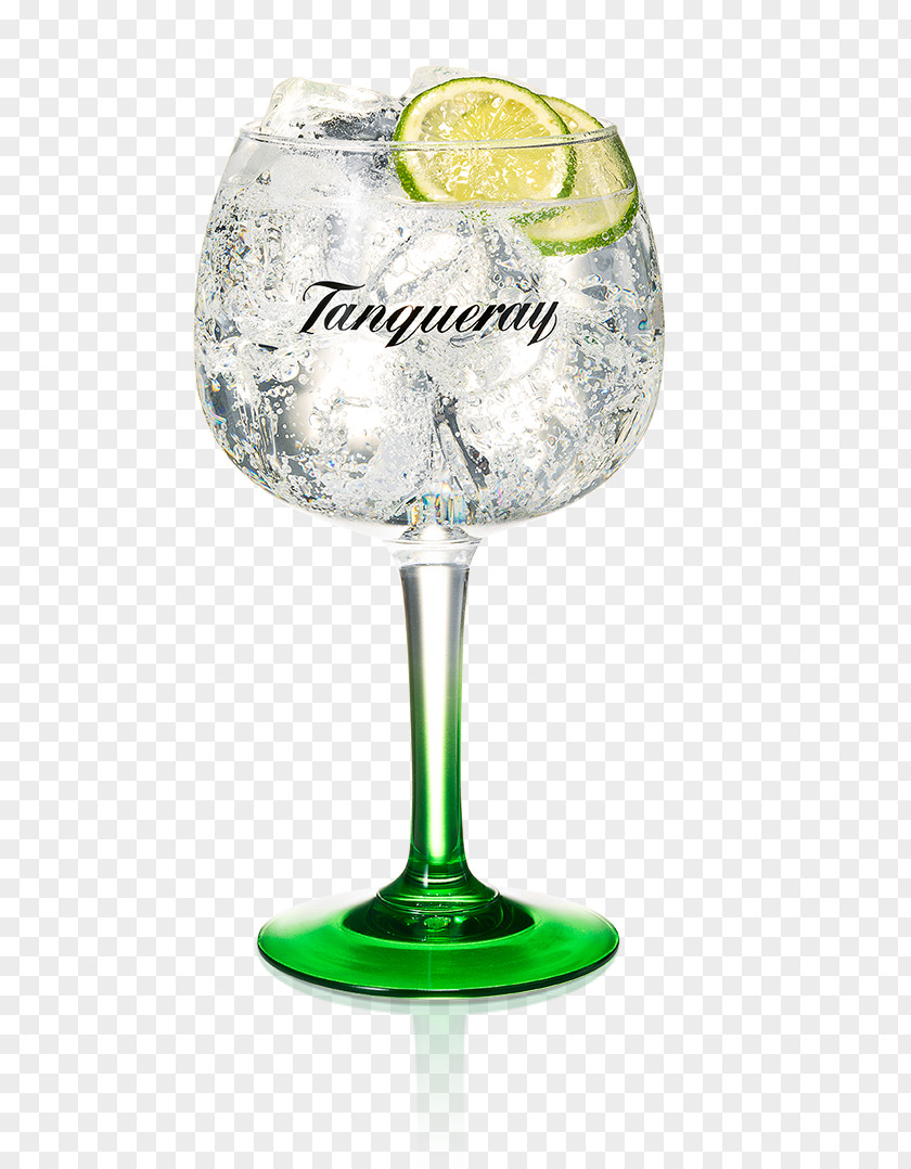 Drink Tanqueray Gin And Tonic Water Distilled Beverage PNG
