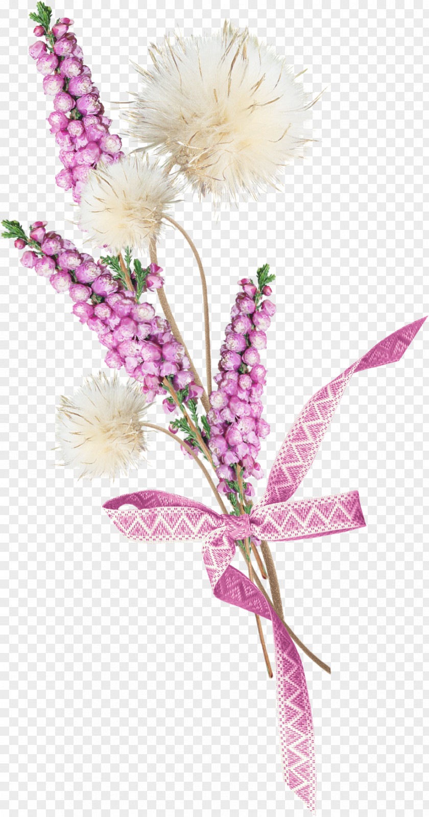 Lavender Baku Flower Festival Vecteur Watercolor Painting PNG