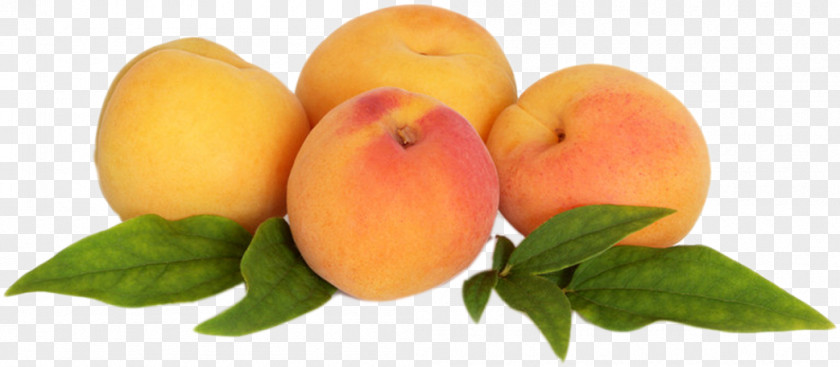 Peach Auglis PNG