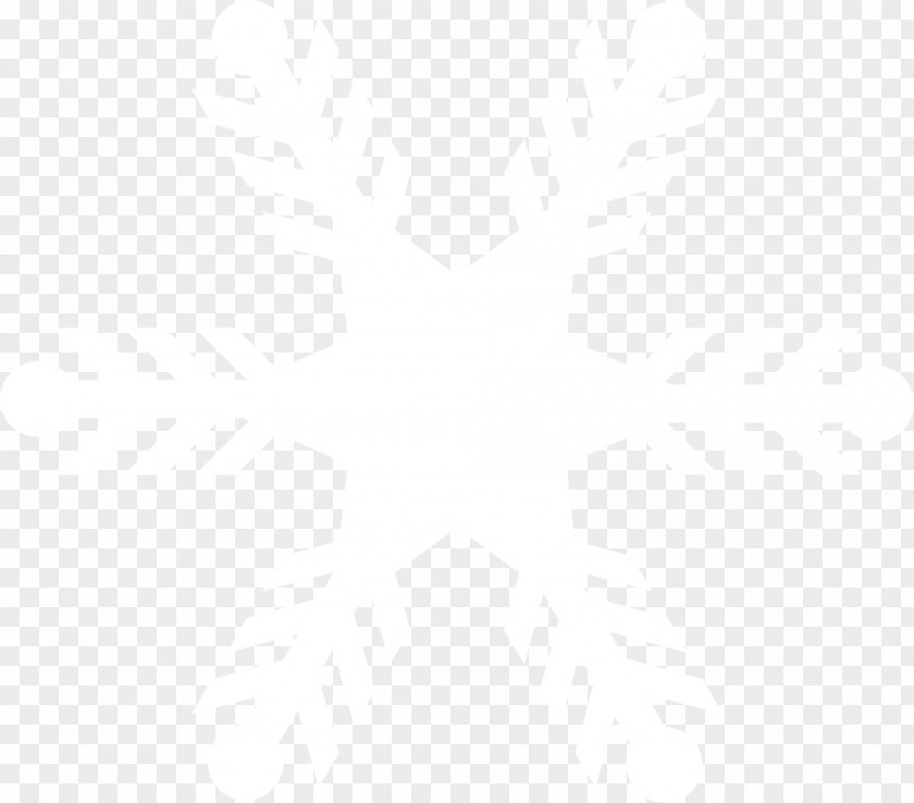 White Fresh Snow Textile Pattern PNG