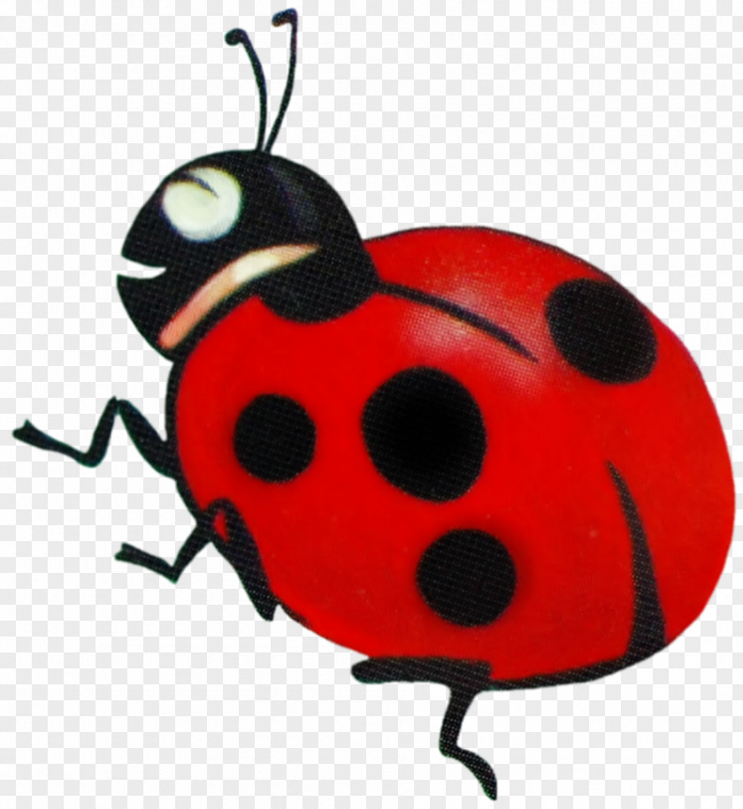 .45 Ladybird Beetle CorelDRAW Computer Software Clip Art PNG