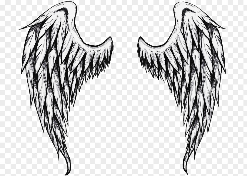 Feather Blackandwhite Angel Cartoon PNG