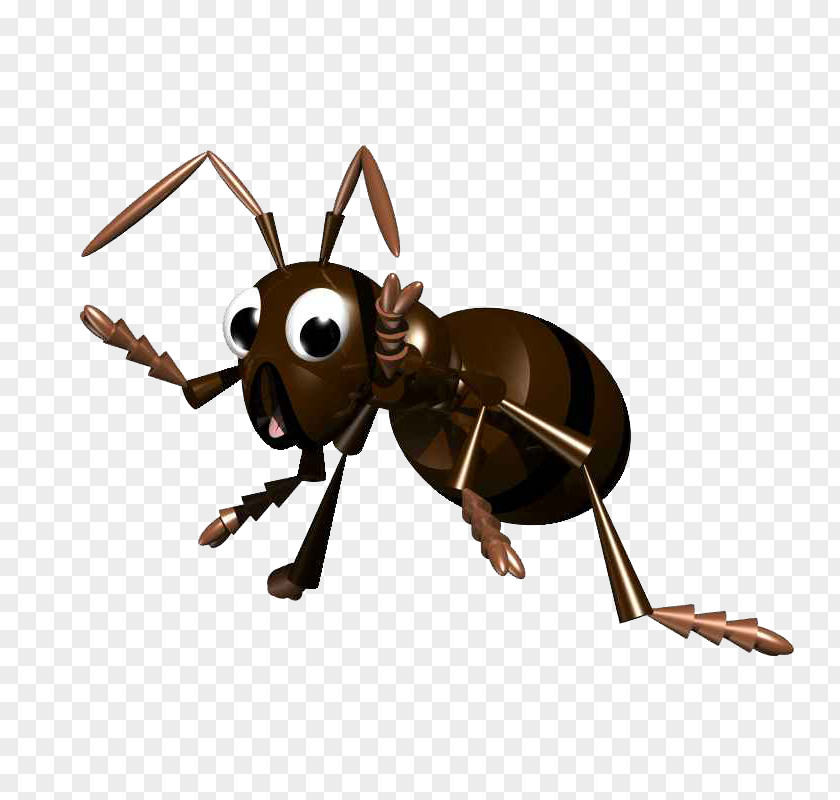 Surprised Ants Black Garden Ant Insect Leafcutter PNG