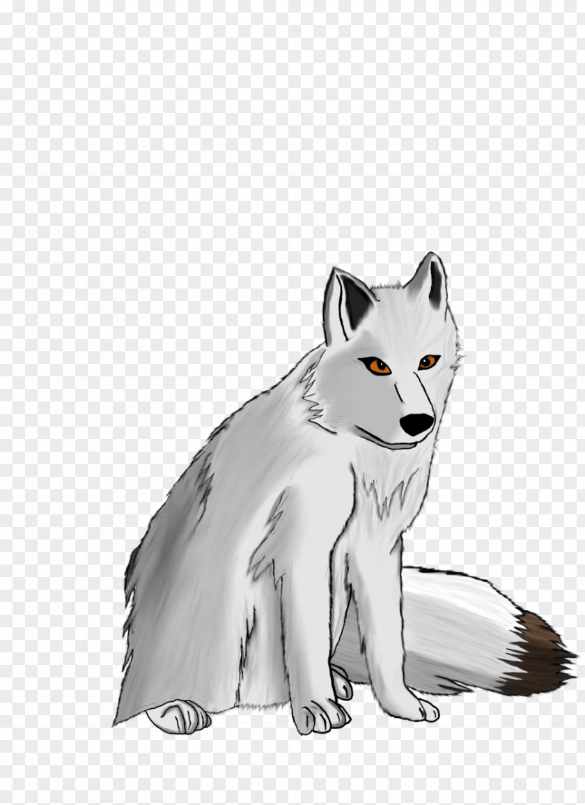 Arctic Fox Gray Wolf Drawing PNG