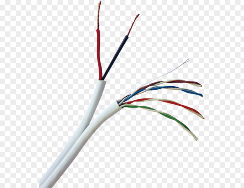 Siamese Category 5 Cable 6 Twisted Pair Electrical American Wire Gauge PNG