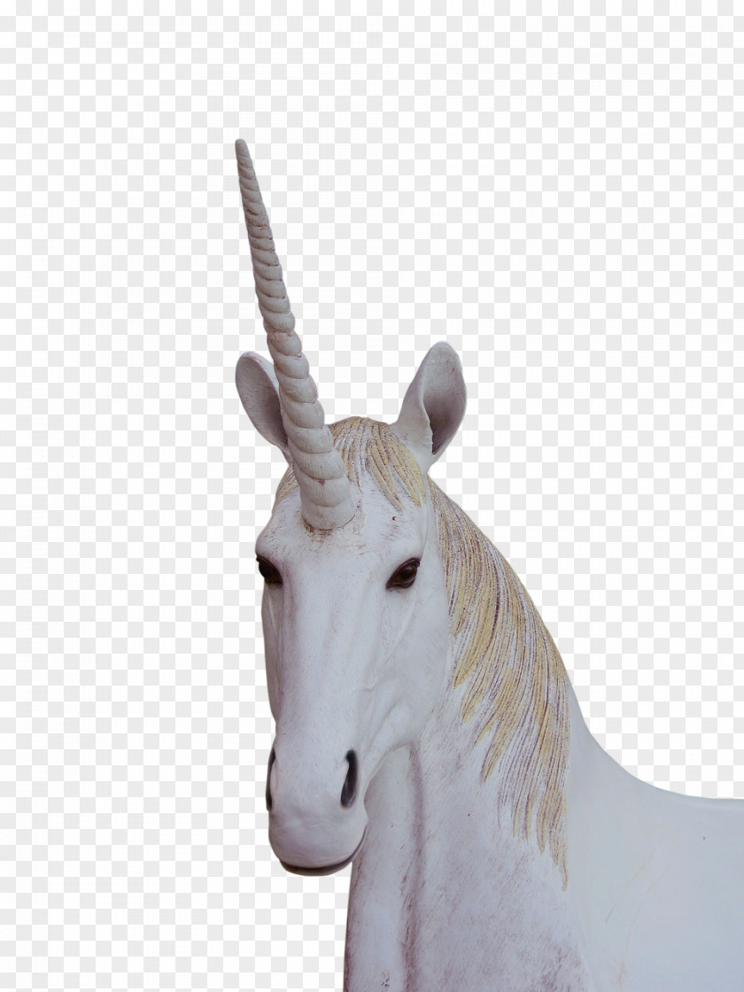 Unicorn Legendary Creature PNG