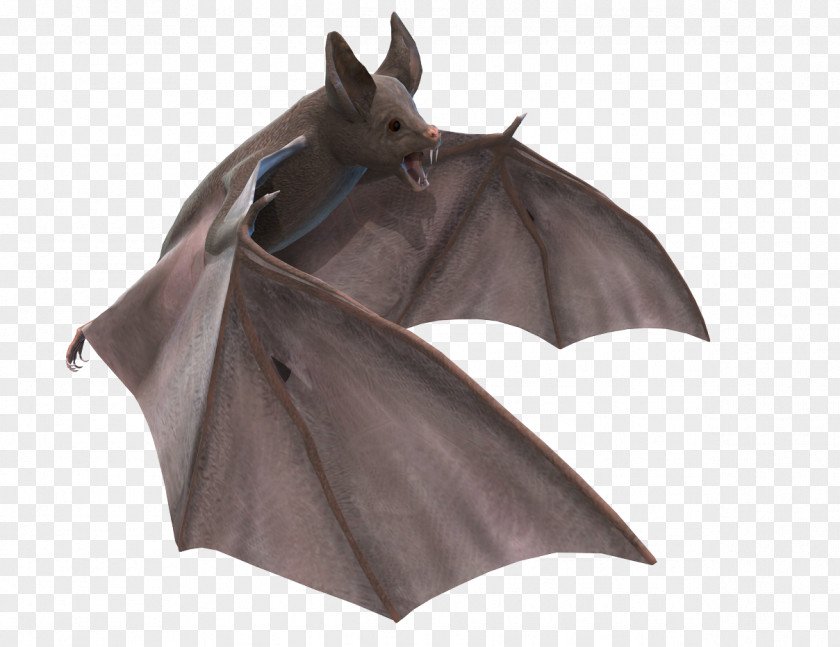 Bat PNG Bat, vampire bat art clipart PNG