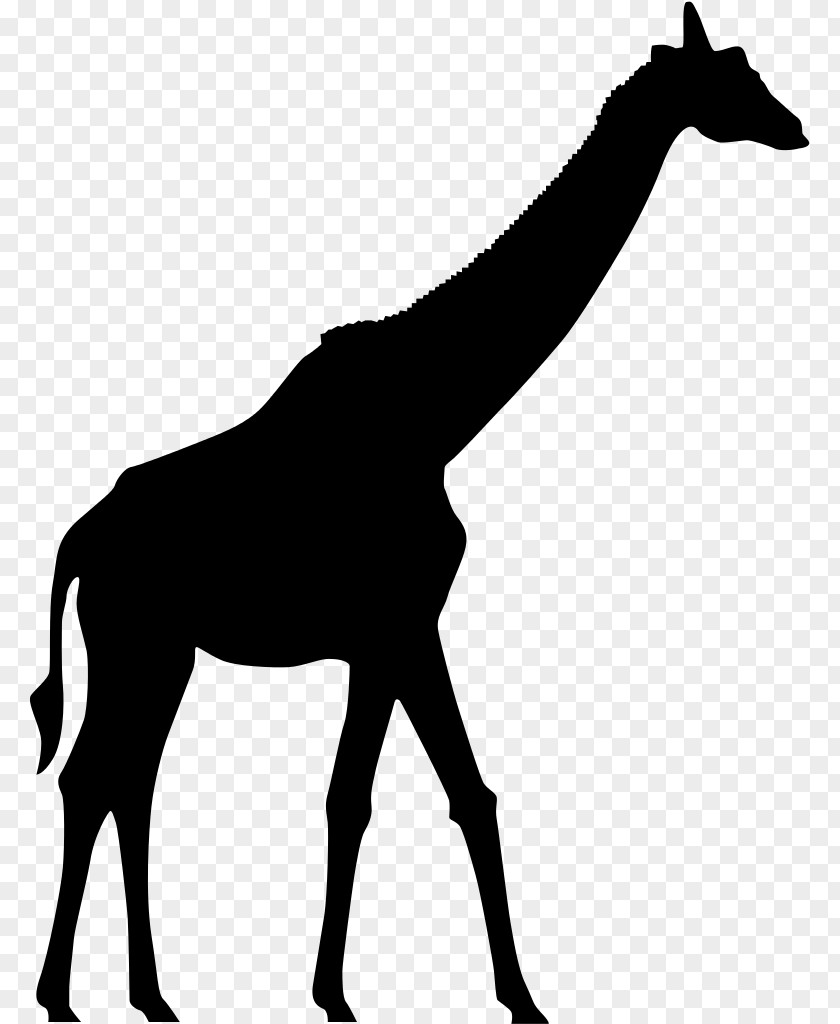 Giraffe Silhouette Clip Art PNG