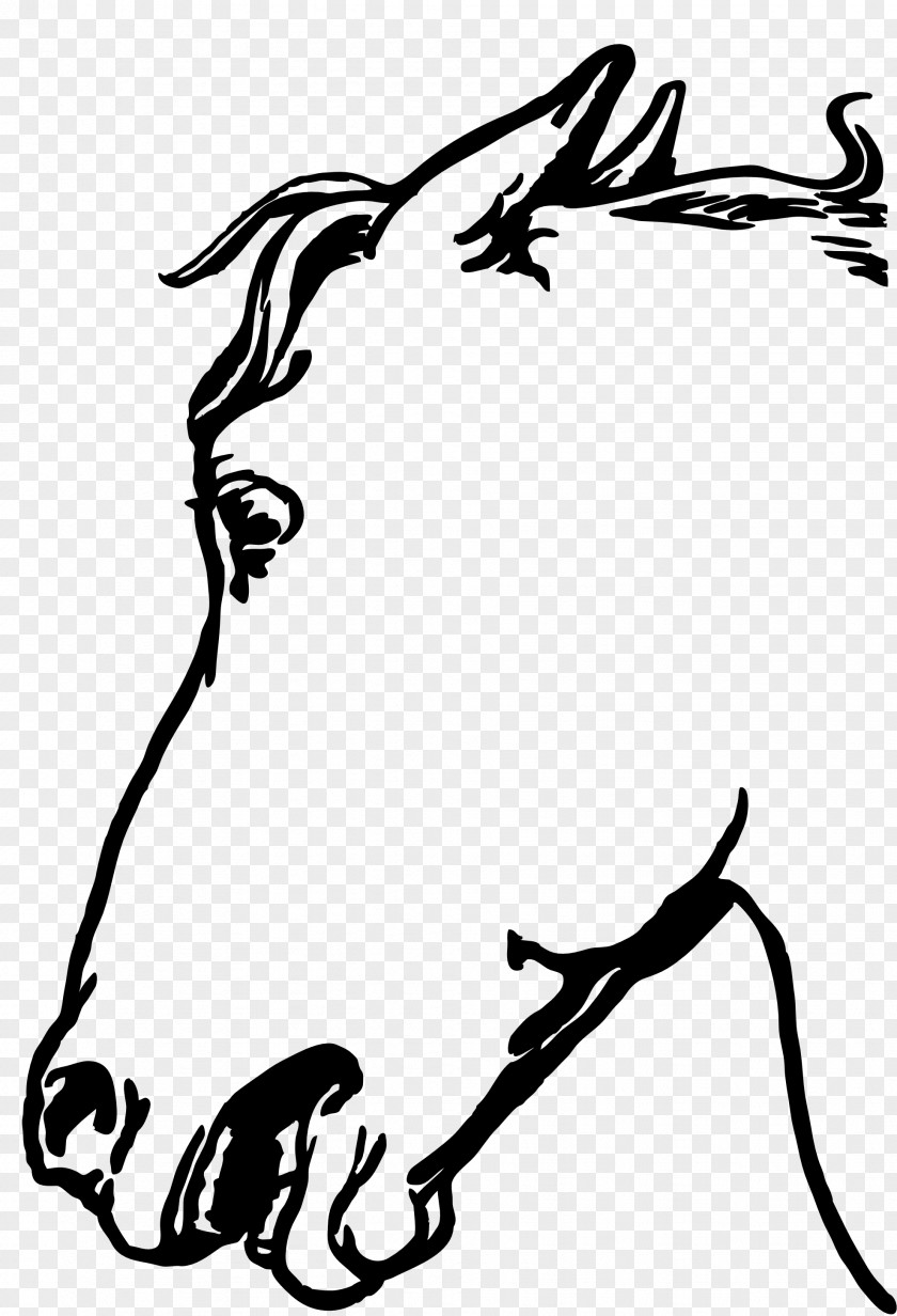 Headline YouTube Horse Borders And Frames Clip Art PNG