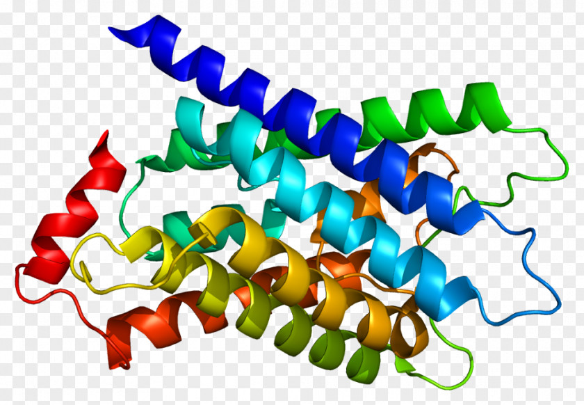 MIP Wikipedia HUGO Gene Nomenclature Committee Major Intrinsic Proteins Encyclopedia PNG