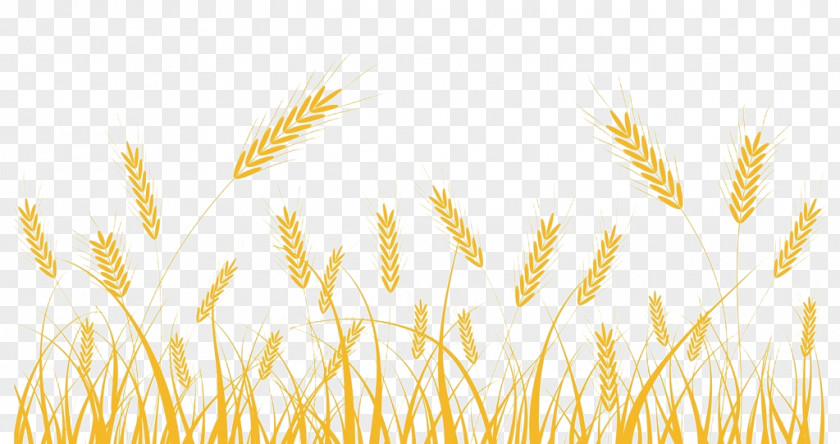 Wheat Decoration Royalty-free Clip Art PNG