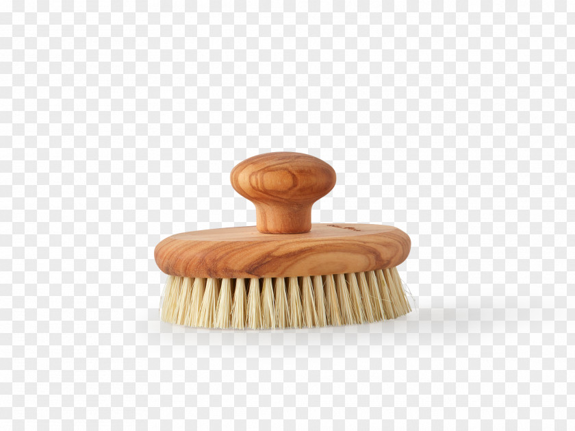 Design Brush Product PNG