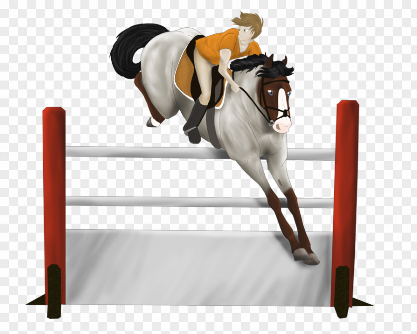 Show Jumping Hunt Seat Rein Stallion Equitation PNG