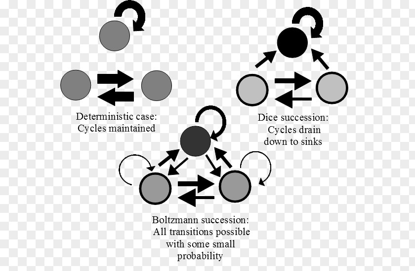 Bayesian Inference Ecology Ecological Succession Stochastic Probability Markov Chain PNG