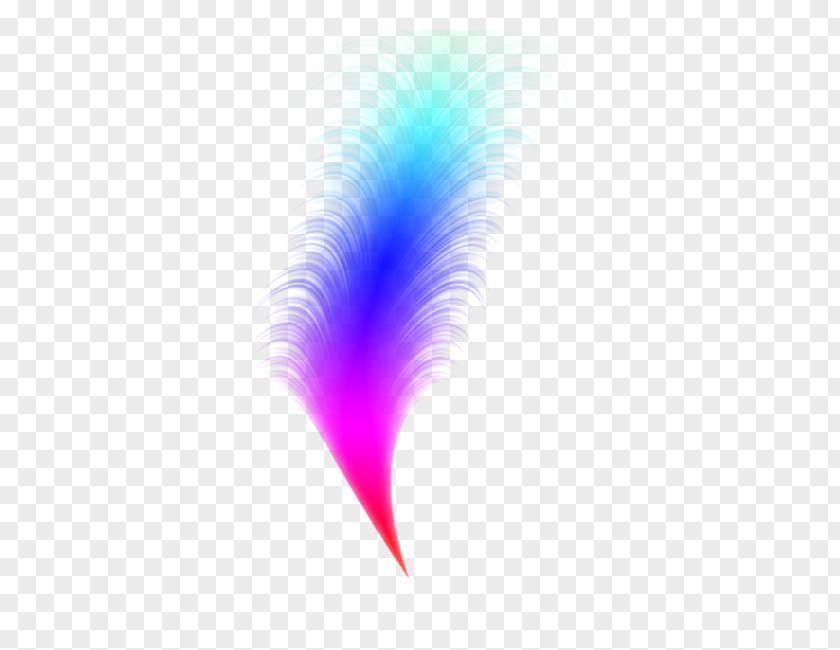 Feather Computer Pattern PNG