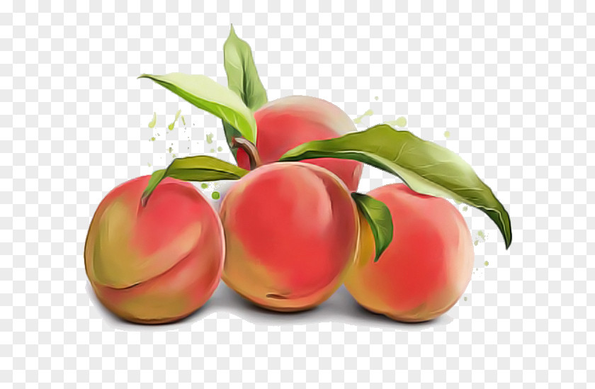 Flower Tree European Plum Peach Fruit Plant Nectarines PNG