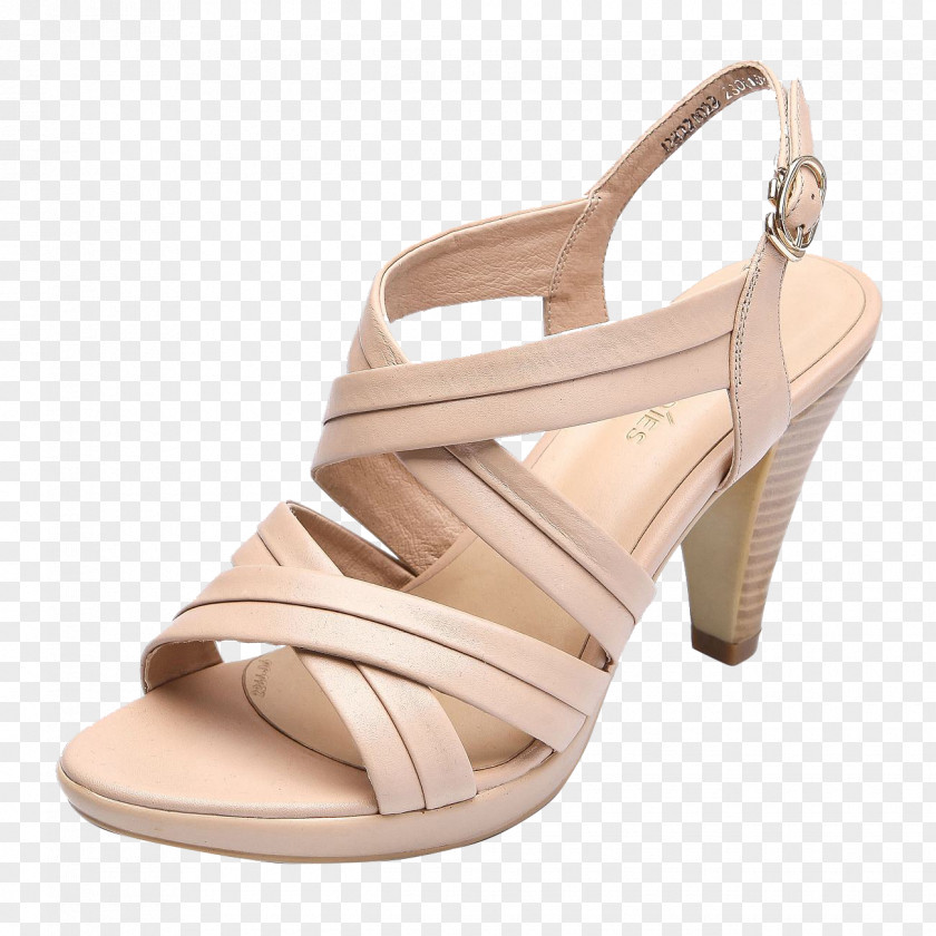 Light Pink, Classic Cross Bar, High Heels Shoe High-heeled Footwear Pink PNG