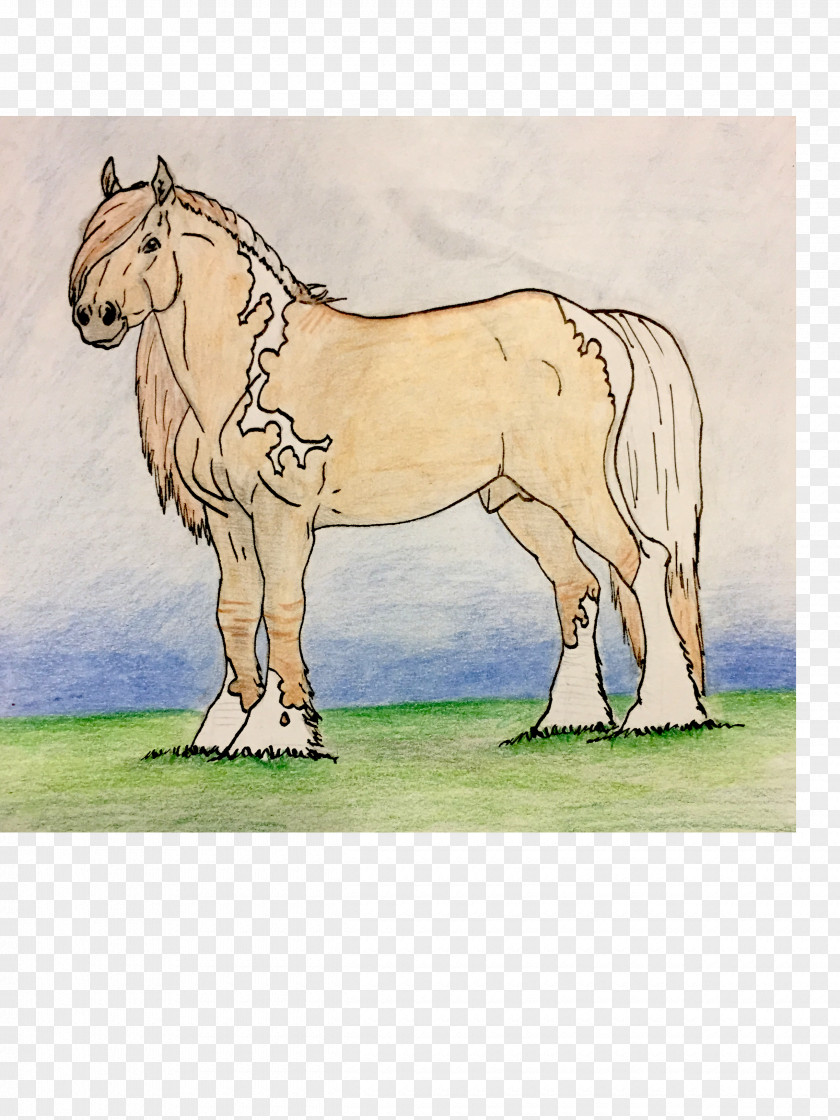 Mustang Mule Foal Stallion Mare Colt PNG