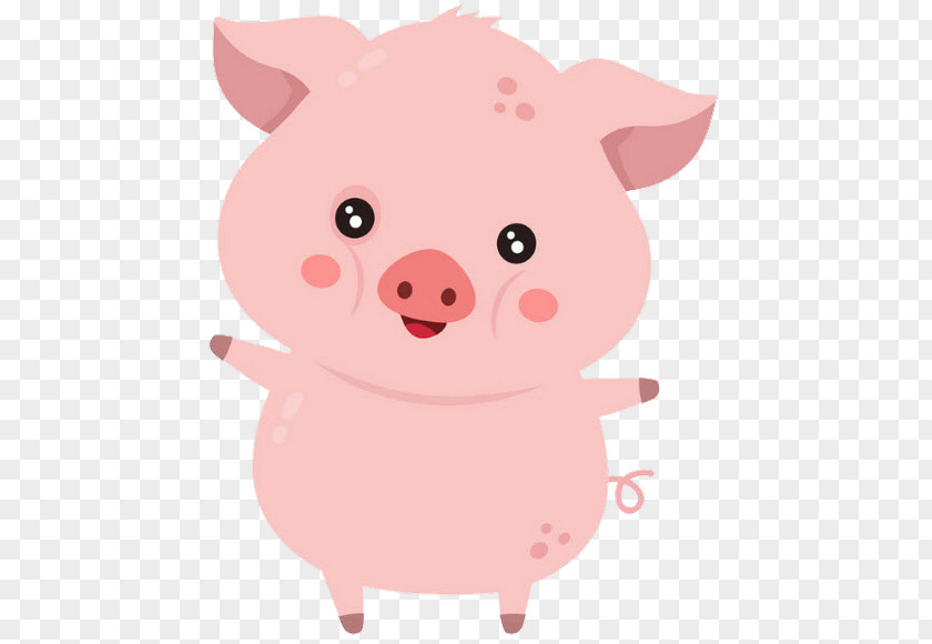Animation Livestock Pig Cartoon PNG